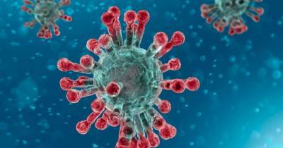 Coronavirus - Cambuslang primary school staff member tests positive - www.dailyrecord.co.uk