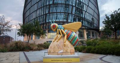 Bee in the City organisers are planning a new public art trail through Manchester - www.manchestereveningnews.co.uk - Manchester - county Bee