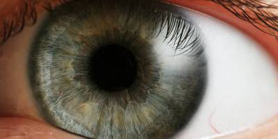 People remain blind due to outdated gay cornea donation ban - www.mambaonline.com - USA - Canada