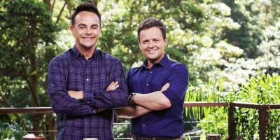 Dec explains why he refused Stephen Mulhern and Phillip Schofield as Ant's I'm a Celeb replacements - www.msn.com