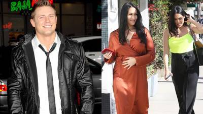 The Miz Shares Hilarious Warning For Nikki Brie Bella After Their Babies’ Births: ‘Be Prepared’ - hollywoodlife.com