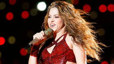 Shakira, 43, Glows On The Beach In Stunning Purple Bikini She Designed — See Pic - hollywoodlife.com