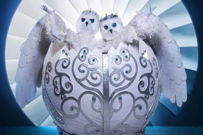 The Masked Singer's First Singing Duo, The Snow Owls - www.tvguide.com