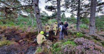 Shocking pics show blaze devastation at 'national treasure' Scots woodland - www.dailyrecord.co.uk - Scotland