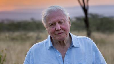 David Attenborough Says 2021 Is “Crucial Moment” In Climate Crisis During New Year Message - deadline.com