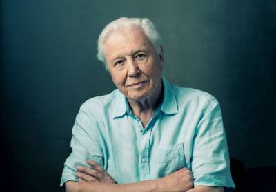 Sir David Attenborough Calls For Action To Address Climate Change In Inspiring New Year’s Day Message - etcanada.com - Canada