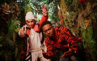 Dizzee Rascal shares colourful new video for ‘Don’t Be Dumb’ - www.nme.com
