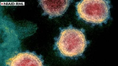 5 cases of UK coronavirus variant found in Minnesota: officials - www.foxnews.com - Britain - Minnesota