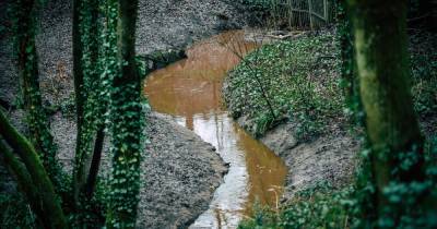 The stream in a popular Tameside park has turned a very strange colour - bosses are investigating possible pollution - www.manchestereveningnews.co.uk - county Hyde