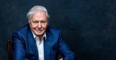 Sir David Attenborough has received the Covid-19 vaccine - www.manchestereveningnews.co.uk - Manchester