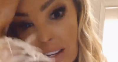 Katie Piper shares her horror as her daughter’s hamster is eaten alive by its cannibal cage-mate - www.ok.co.uk