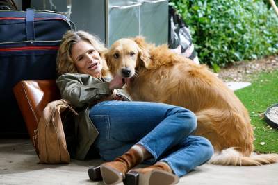 The dog is the best part of Kyra Sedgwick’s new show ‘Call Your Mother’ - nypost.com