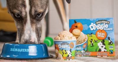 Ben & Jerry's are launching a range of ice cream for your dog to enjoy - www.ok.co.uk