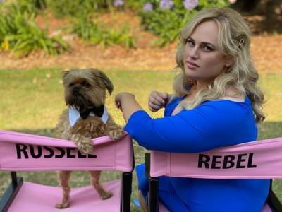 Rebel Wilson To Host U.S. Remake Of ‘Pooch Perfect’ For ABC - deadline.com - Australia