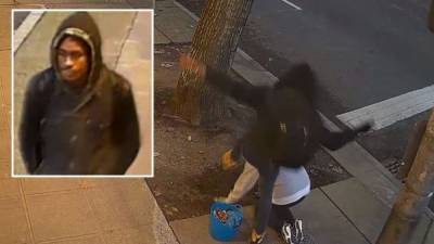 Seattle police search for man who kicked two women in the head in attacks caught on video - www.foxnews.com - Seattle