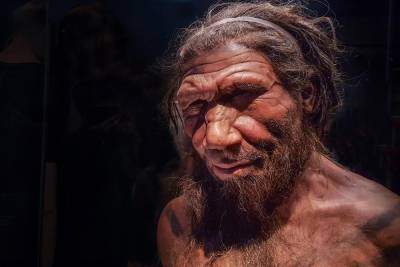 Yes, Neanderthals and humans had cave sex — but did they kiss? - nypost.com - Pennsylvania
