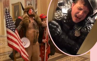 Capitol Rioters Intended To 'Capture & Assassinate Elected Officials', Say Feds - perezhilton.com