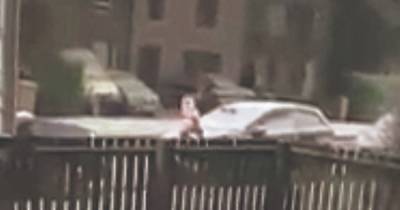 Man spotted skidding down Dundee street in his pants and balaclava - www.dailyrecord.co.uk - Scotland - county Douglas