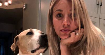 Kaley Cuoco Mourns the ‘Earth-Shattering’ Death of Dog Norman: ‘You Were My Entire World’ - www.usmagazine.com