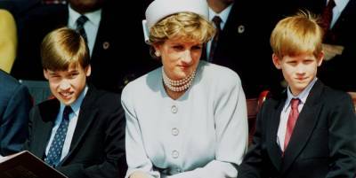 Prince William Will "Have a Problem With Harry Trying to Take Ownership of Diana's Legacy," Biographer Says - www.marieclaire.com
