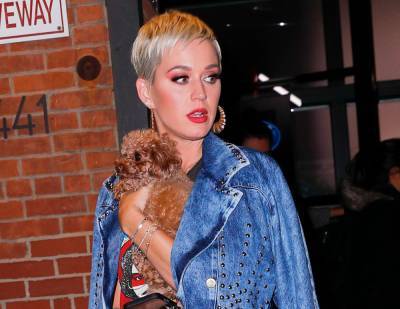Katy Perry And Her Dog Are Going Vegan - etcanada.com