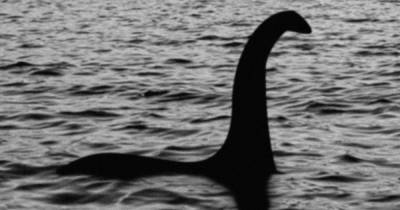 Loch Ness Monster is 'ancient sea turtle' as mystery 'cracked' by US expert - www.dailyrecord.co.uk - USA - Virginia