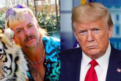 Joe Exotic’s lawyers so confident of Donald Trump pardon they’ve ‘booked a limo’ to pick him up from prison - www.msn.com - USA