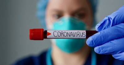 Dumfries and Galloway coronavirus figures for Tuesday, January 9 - www.dailyrecord.co.uk