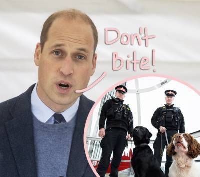 OMG! Prince William Was Once Attacked By A Police Dog At Queen Elizabeth’s Country Estate! - perezhilton.com - city Sandringham