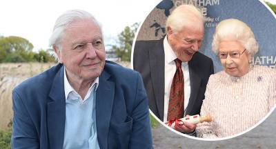 Sir David Attenborough's dire warning to royal family EXPOSED! - www.newidea.com.au