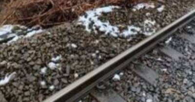 Train disruption following landslips in Tameside and Stockport - www.manchestereveningnews.co.uk - Manchester