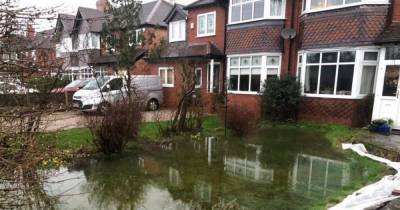 Teacher performs 'belly flop' dive in flooded garden - for a lovely reason - www.manchestereveningnews.co.uk - Manchester
