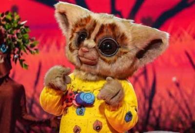 The Masked Singer: Bush Baby’s identity revealed in latest episode - www.msn.com - county Ross - state Missouri