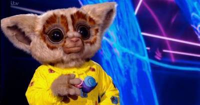 The Masked Singer viewers stunned as Bush Baby finally unmasked - www.dailyrecord.co.uk
