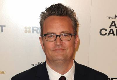 Matthew Perry Introduces Fans To New Puppy Alfred - etcanada.com