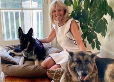 First dogs Major and Champ move into the White House with the Bidens - evoke.ie - USA