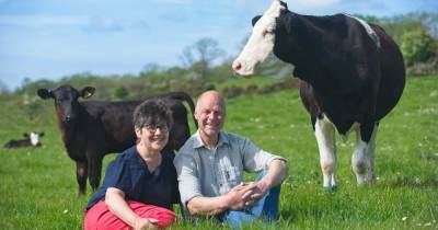 Gatehouse of Fleet's Ethical Dairy stops accepting orders from Northern Ireland due to "eye watering" post-Brexit paperwork - www.dailyrecord.co.uk - Ireland