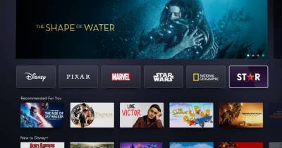 Star on Disney Plus explained: release date, new TV shows, price increase and more - www.msn.com - USA