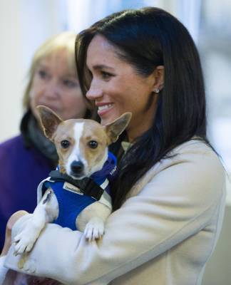 Meghan Markle Has Had The ‘Support’ Of Her Dogs Over The Past Year - etcanada.com - California