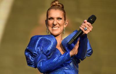 Man who drunkenly changed his name to Celine Dion says he won’t change it back - www.nme.com