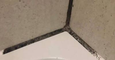 Woman's life-changing shower cleaning hack makes mouldy tiles look 'good as new' - www.dailyrecord.co.uk