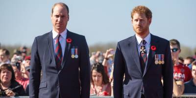 Prince William Is Probably Not Happy with Prince Harry's Diana Tribute on the Archewell Website, Expert Says - www.marieclaire.com