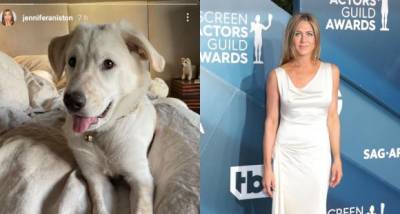 PHOTOS: Jennifer Aniston spends the first Sunday of 2021 on a 'paw'fect note - www.pinkvilla.com