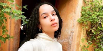 Zoë Kravitz Posted a Pointed Meme About Taking Out the Trash Amid Divorce - www.cosmopolitan.com