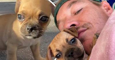 Diplo adopts a sweet puppy name Jefe while vacationing in Mexico - www.msn.com - Mexico