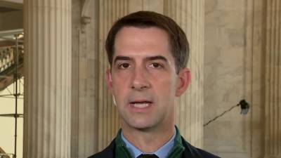 Sen. Tom Cotton calls on Trump to 'quit misleading' supporters - www.foxnews.com - USA