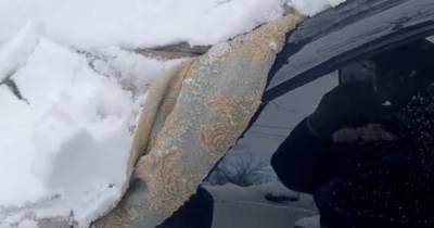 Genius hack shows how to remove snow from car in seconds using 'blanket' method - www.dailyrecord.co.uk - Scotland