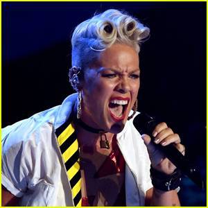 Pink Denounces Trump Supporters for Storming the Capitol: 'Hypocrites & Animals' - www.justjared.com