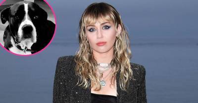Miley Cyrus Mourns Death of ‘Angel’ Dog Mary Jane: She Was ‘More Than a Friend or Family Member’ - www.usmagazine.com