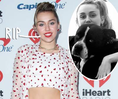 Miley Cyrus Mourns Death Of Beloved Dog Mary Jane: 'She Was A Dog With Wings' - perezhilton.com